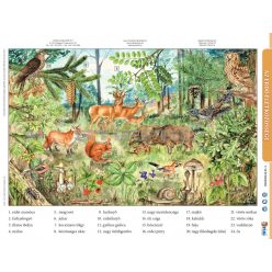 Az erdő életközössége + munkaoldal tanulói munkalap