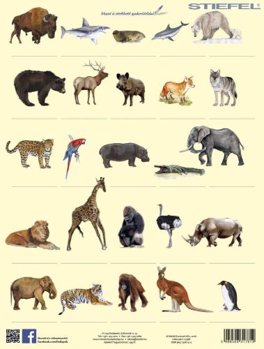 Vadon élő állatok lefűzhető tanulói munkalap+munkaoldal