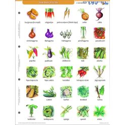 Zöldségek + munkaoldal tanulói munkalap