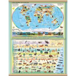 A Föld növény és állatvilága (100 x 140 cm)