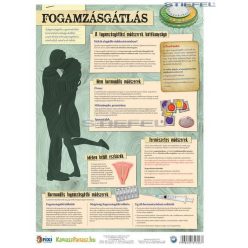 Fogamzásgátlás - fali oktatótabló