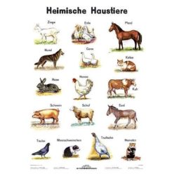 Heimische Haustiere
