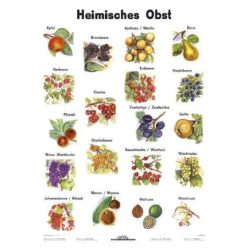 Heimisches Obst