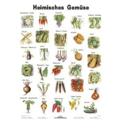 Heimische Gemüse