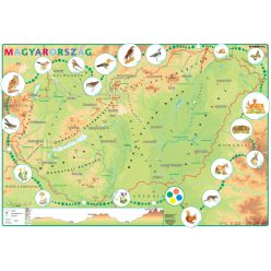  Magyarország domborzata iskolai földrajzi falitérkép alsó tagozatosoknak és óvodásoknak