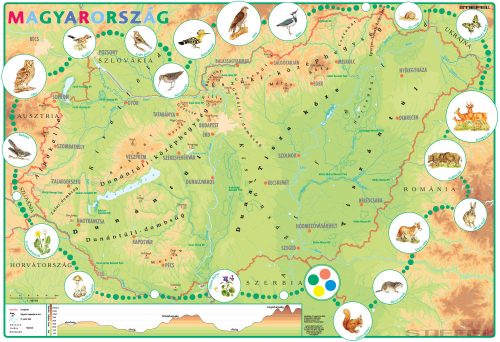 Magyarország domborzata iskolai földrajzi falitérkép alsó tagozatosoknak és óvodásoknak