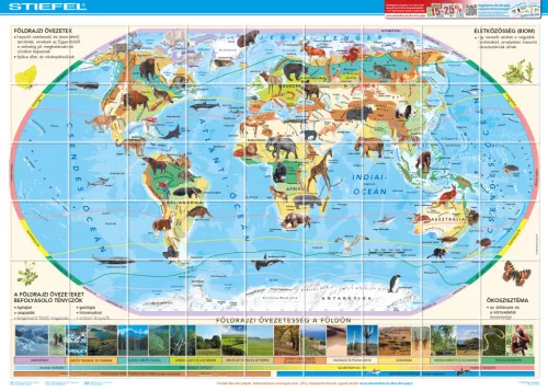 Bee-Bot gyakorlópálya + kártyacsomag, A Föld állatvilága 