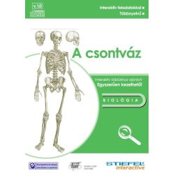Csontváz-oktató CD