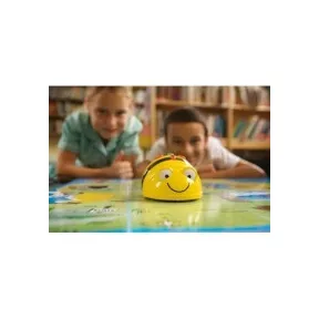 Bee-Bot és Blue-Bot pályák