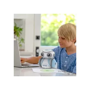 Robotok